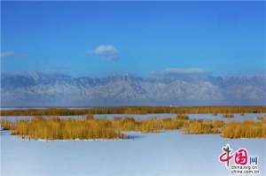 来宁夏沙湖 带你遇见不一样的西北风光（图）