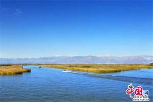 目之所及皆是风景 这个春天去宁夏沙湖观百鸟